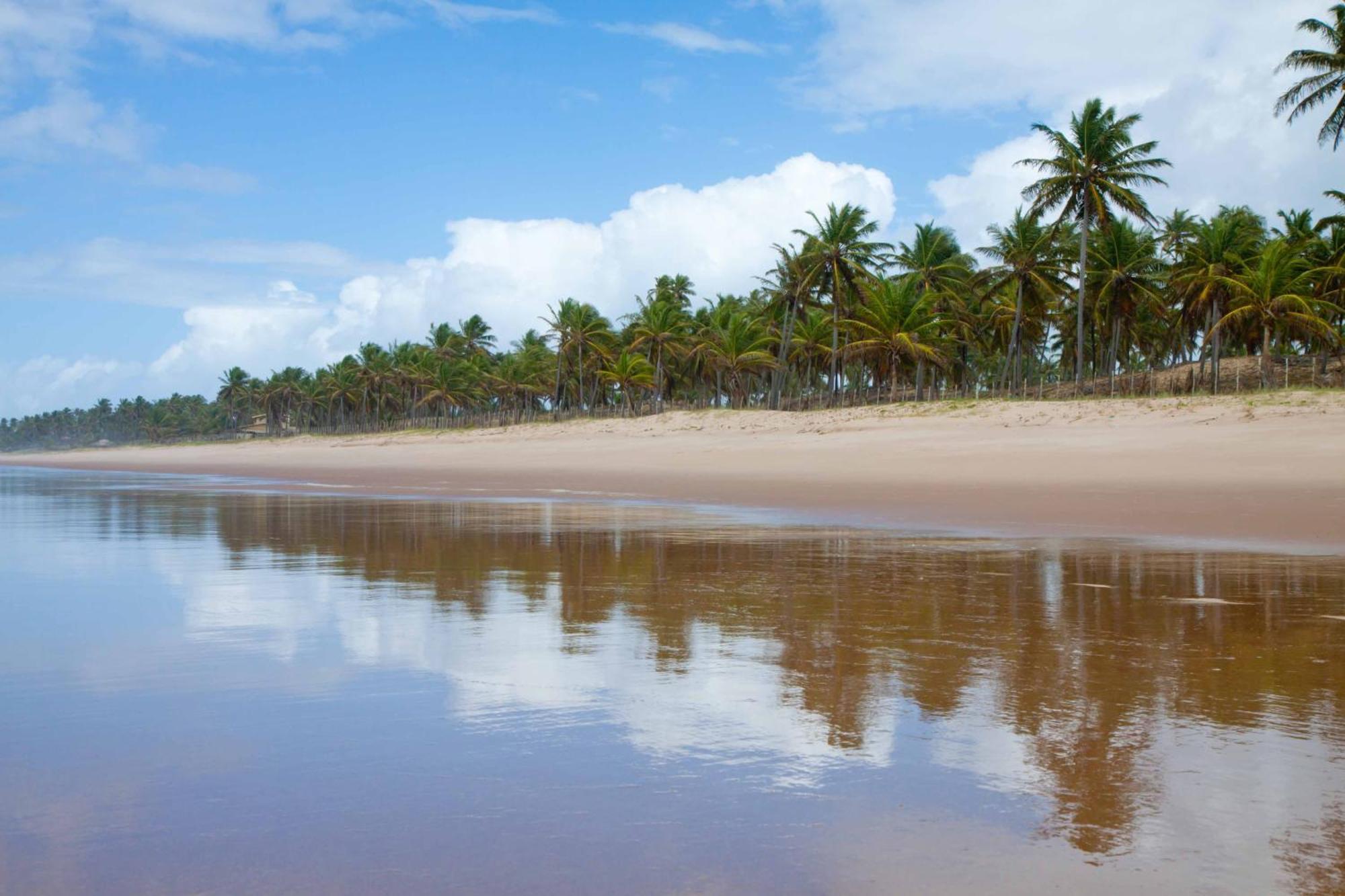 Grand Palladium Imbassai Resort & Spa מראה חיצוני תמונה Beach in Cabo de la Vela